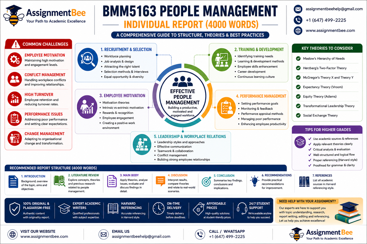 BMM5163 People Management Individual Report infographic guide