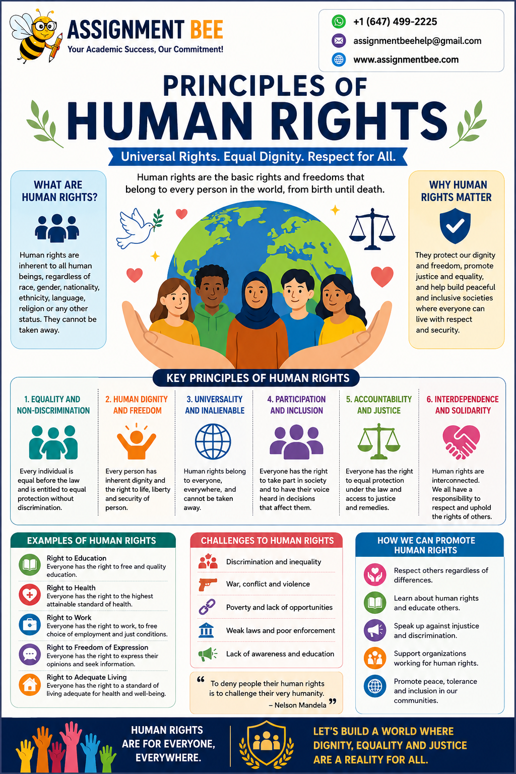 Principles of Human Rights infographic explaining equality, dignity, freedom, non-discrimination, inclusion, accountability, and universal human rights